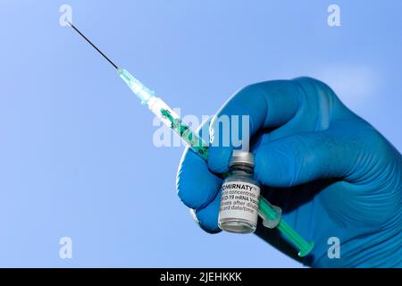 Eine Hand mit Spritze und Corona-Impfstoff von Biontech / Pfizer, Handschuhe, Stock Photo