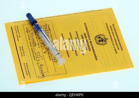 Eine Hand mit Spritze und Corona-Impfstoff von Biontech / Pfizer, Impfpass, Stock Photo