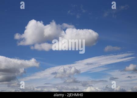 Dramatic blue clear summer sky background, white fluffy cumulus cloud over sea of cirrus clouds Stock Photo