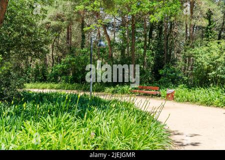 Ataturk Kent Ormani in Istanbul Turkey. Ataturk Forest. Green spaces in Istanbul city. Green parks or recreational areas. Carbon net zero concept. Stock Photo