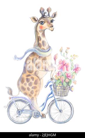 Sublimation Design, Giraffe, PNG Clipart, Giraffe on the bicycle, New Baby Card Des Stock Photo