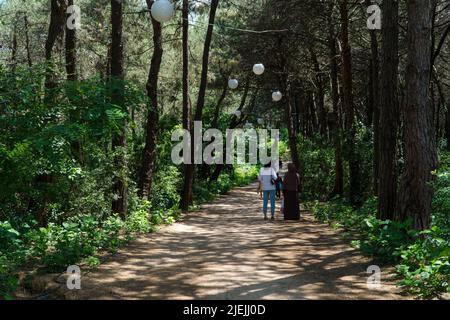 Ataturk Kent Ormani in Istanbul Turkey. Ataturk Forest. Green spaces in Istanbul city. Green parks or recreational areas. Carbon net zero concept. Stock Photo