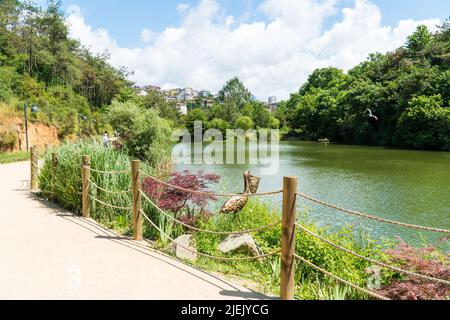 Ataturk Kent Ormani in Istanbul Turkey. Ataturk Forest. Green spaces in Istanbul city. Green parks or recreational areas. Carbon net zero concept. Stock Photo