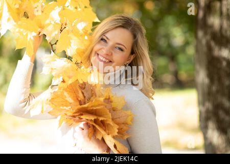 Autumn portrait of charming blonde inlight cashmere sweater with bouquet of leaves in her hands, walking in park. Stock Photo