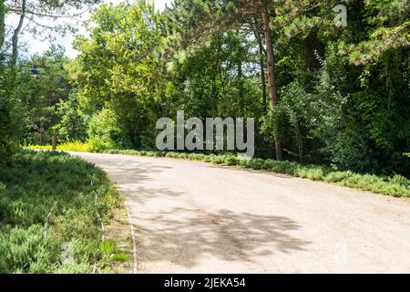 Ataturk Kent Ormani in Istanbul Turkey. Ataturk Forest. Green spaces in Istanbul city. Green parks or recreational areas. Carbon net zero concept. Stock Photo