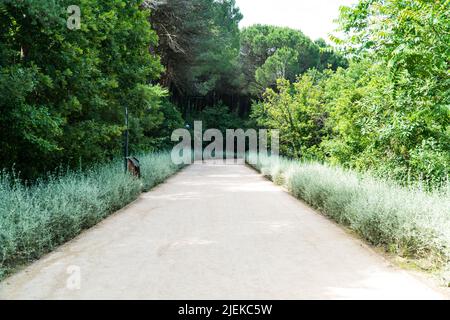 Ataturk Kent Ormani in Istanbul Turkey. Ataturk Forest. Green spaces in Istanbul city. Green parks or recreational areas. Carbon net zero concept. Stock Photo