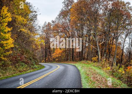 Colorful orange leaves in autumn fall foliage season on the Blue Ridge Parkway near Wintergreen, Virginia with paved asphalt road driving point of vie Stock Photo