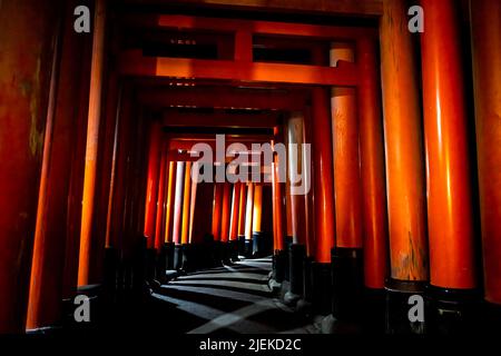 Kyoto, Japan vermillion color Fushimi Inari shrine torii gates in park at night with black and red patterns and illumination lanterns on path walkway Stock Photo