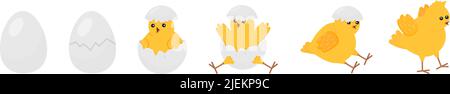 Chick born. Easter newborn chicks hatching from egg. Yellow cute cartoon chicken, farm baby bird. Little domestic animal, funny decent vector banner Stock Vector