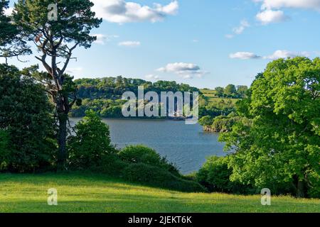 View across River Dart towards Dittisham and Ferry point from Greenway in Devon Stock Photo