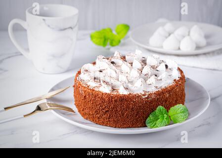 Perfect homemade tiramisu cake sprinkled with cocoa powder Stock Photo