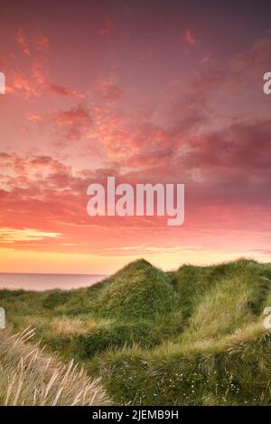 Sunset on the west coast of Jutland - Lokken Beach, Denmark. Beautiful landscape with lush grass waving in the wind during sunset or over a ocean with Stock Photo