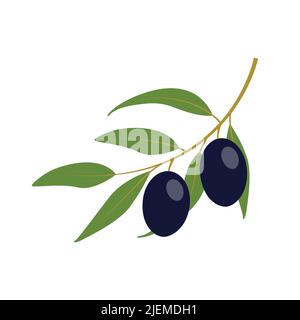 black olive shrub isolated on white background Stock Vector