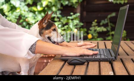 Woman teleworking in the garden with her dog looking at the laptop Stock Photo