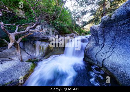 River waterfall among rocks and green vegetation at sunrise. Navacerrada. Stock Photo