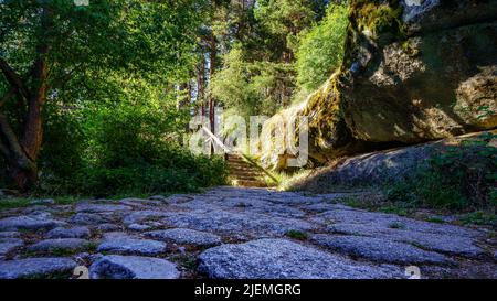 Stone path in the woods leading to a path lit by sunlight. Navacerrada. Stock Photo