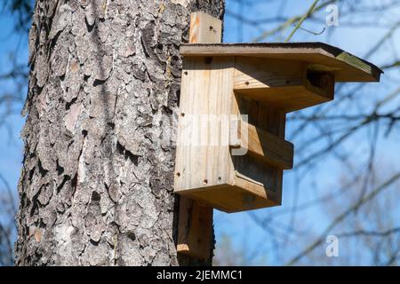 Wooden birdhouse, Hanging on Tree Trunk, Birdhouse in Garden Stock Photo