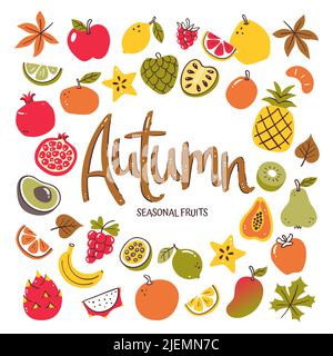 Seasonal fruits background. Autumn fruit composition made of colorful hand-drawn vector icons, isolated on white background. Stock Vector