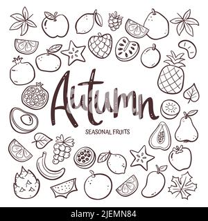 Seasonal fruits background. Hand-drawn autumn fruit composition made of doodle vector icons, isolated on white background. Stock Vector