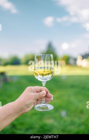 Woman hand holding and turning glass of white wine over green nature background. Stock Photo