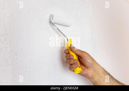 Hispanic man holding roller and painting the wall in the room with white roller. Apartment renovation, male hand, professional painting Stock Photo