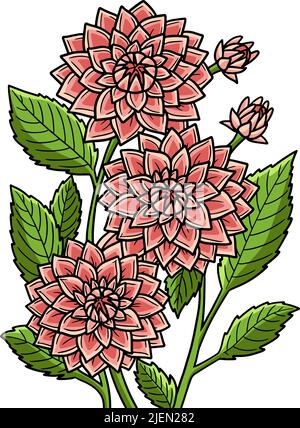 Dahlia Flower Drawing PNG Images With Transparent Background | Free  Download On Lovepik