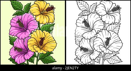 Hibiscus Flower Coloring Page Colored Illustration Stock Vector