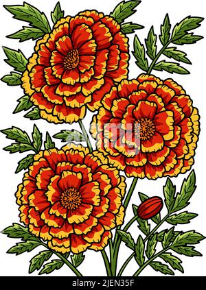 How to draw Marigold Flower step by step|Marigold Flower Drawing | How to draw  Marigold Flower step by step|Marigold Flower Drawing In this video, you  will learn to draw Marigold Flower in