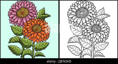 Gerbera Flower Coloring Page Colored Illustration Stock Vector