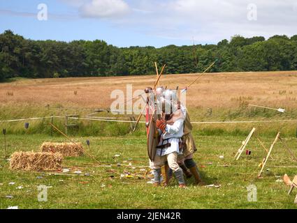 Viking battle reenactment scene Stock Photo