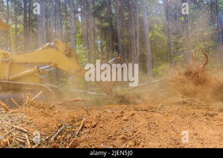 Clearing land from roots for a subdivision using tractors skid steers Stock Photo