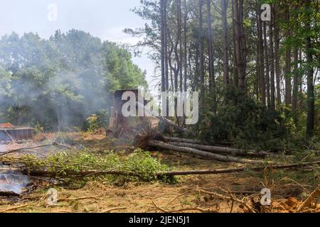 In order to clear land for a subdivision of housing, tractors skid steers were used Stock Photo