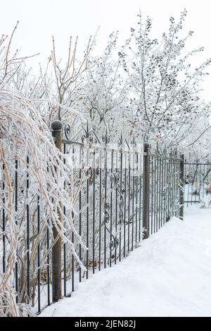 Black iron wrought ornamented fence covered with slight layer of frost with snow on ground and short trees in background. Vertical copy space shot Stock Photo