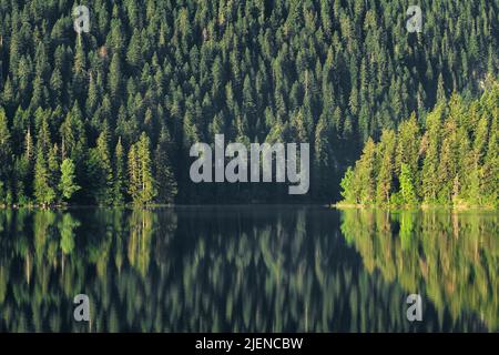 Black lake landscape at sunrise in Durmitor National park, Zabljak, Montenegro Stock Photo