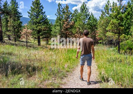 Dutch John, USA Flaming Gorge recreation area in summer in Utah National Park with back of hiker man walking on trail path near pine tree forest Stock Photo