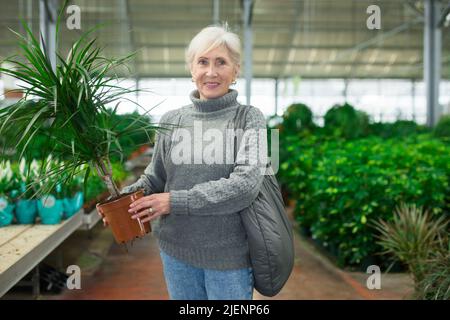 Elderly woman purchasing potted dracaena in garden store Stock Photo