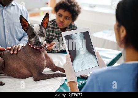 Unrecognizable doctor standing in front of dog and its owners holding digital tablet with X-ray image on screen Stock Photo