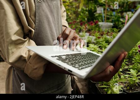 Close-up of African man in uniform using laptop to take online orders during his work in flower shop Stock Photo