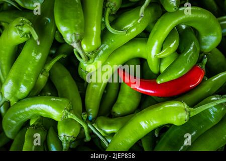 Raw Green Organic Serrano Peppers.  green chili peppers Stock Photo