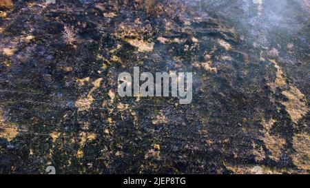 Aerial drone view flight over black ash of field of burned brown yellow dry grass and white smoke on sunny autumn day. View from above. Texture natural background of ecological environmental disaster. Stock Photo