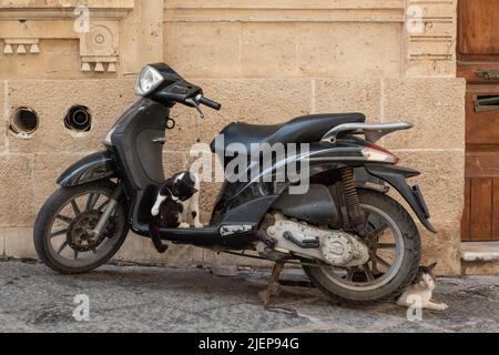 Two cats make an old motorcycle their home in Siracusa, Sicily, Italy Stock Photo