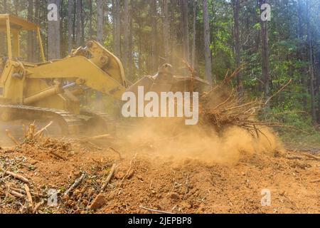 Build housing developments, tractors skid steers are used to clear land from roots forestry exploitation Stock Photo