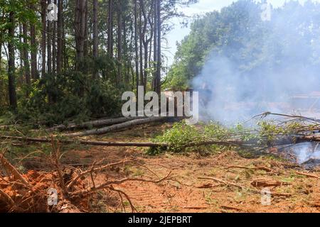 Trees were removed from a subdivision for a housing development Stock Photo