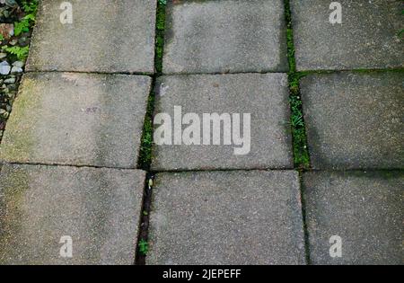 The pavement from cement square shape brick tile in the garden Stock Photo