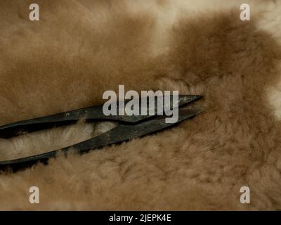 close-up shot ancient medieval scissors used to cut leather Stock Photo