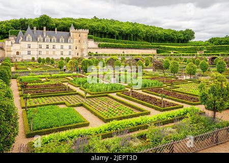 The Château de Villandry is a wonderful country residence located in Villandry, in the Indre-et-Loire department of France. The famous Renaissance gar Stock Photo