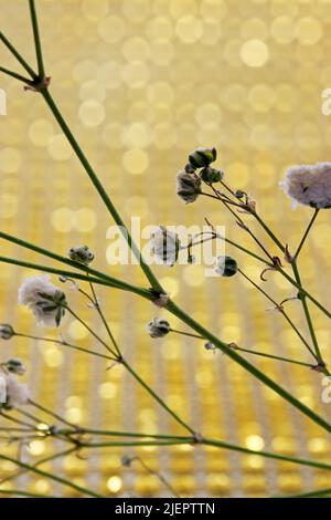 Wedding concept detail of a bouquet dry flowers Stock Photo