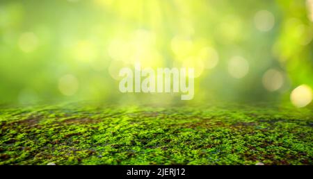 Green Moss background, mossy texture Stock Photo