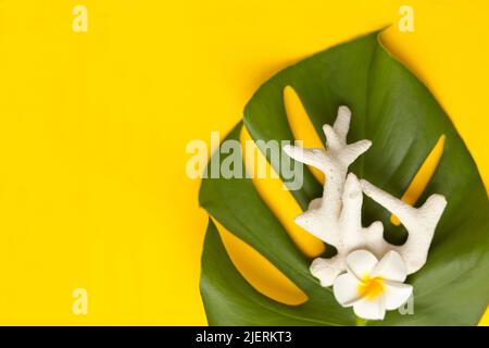 monstera leaf and corals on yellow background. Tropical leaves and frangipani flower. Summer element Stock Photo