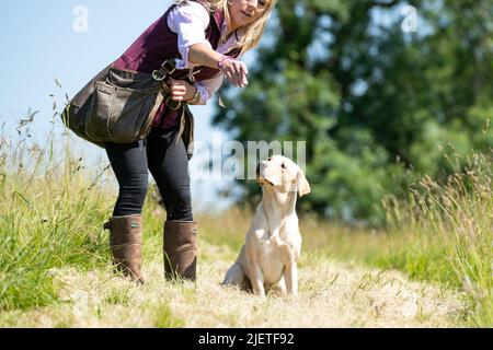 Strigidae Gundogs Stock Photo